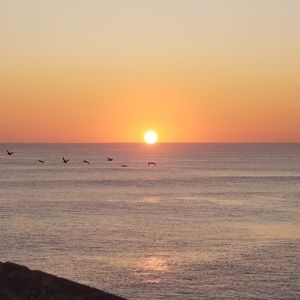 Meet your Posher, Andra